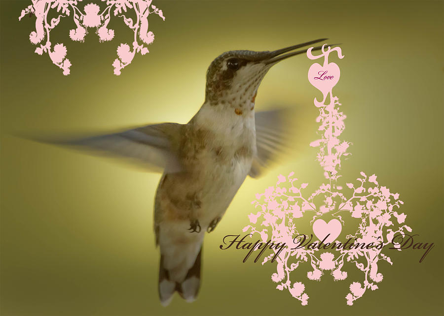 Hummingbird Valentine Card Photograph by Leticia Latocki