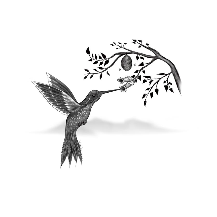 Hummingbird Digital Art - Hummingbird by Vincent Autenrieb Hummingbird Digital Art - Hummingbird by Vincent Autenrieb