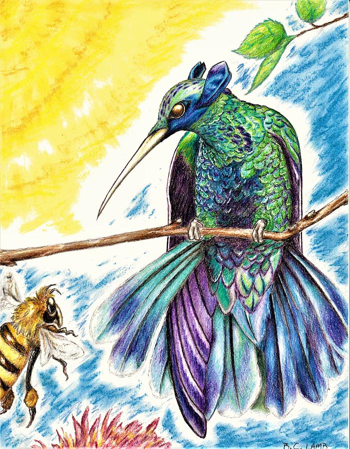 Hummingbird Warrior Drawing By Bryant Lamb Fine Art America