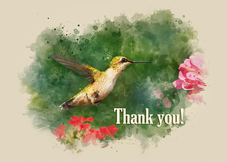 Hummingbird Thank You Card Mixed Media by Christina Rollo