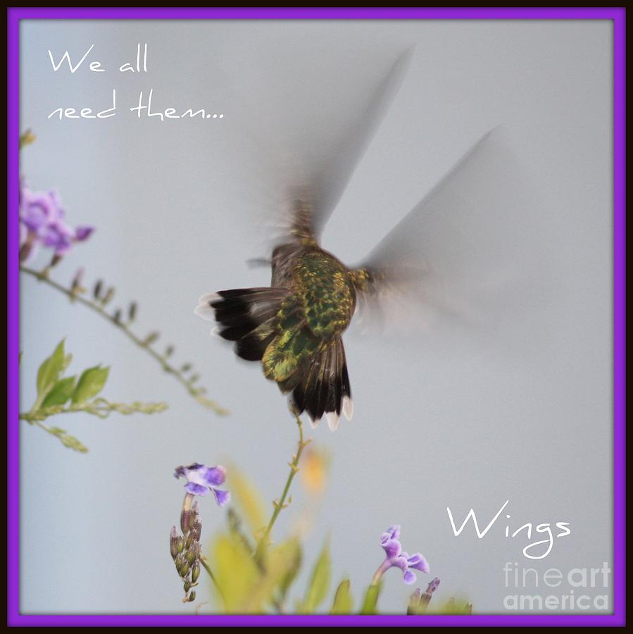 Nature Photograph - Hummingbird Wings by Carol Groenen