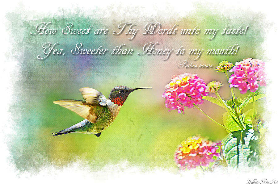 Hummingbird with Bible Verse Photograph by Debbie Portwood