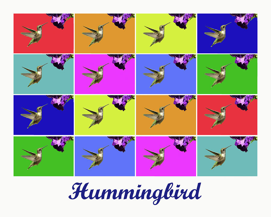 Hummingbird x16 Titled Photograph by Lou Ford
