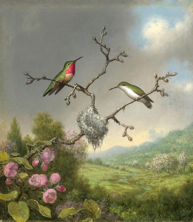 Hummingbirds and Apple Blossoms Painting by Martin Johnson Heade