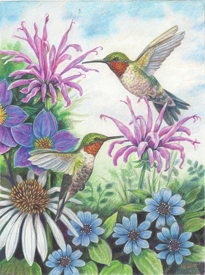 Bird Painting - Hummingbirds and Bergamot by Sandy Williams