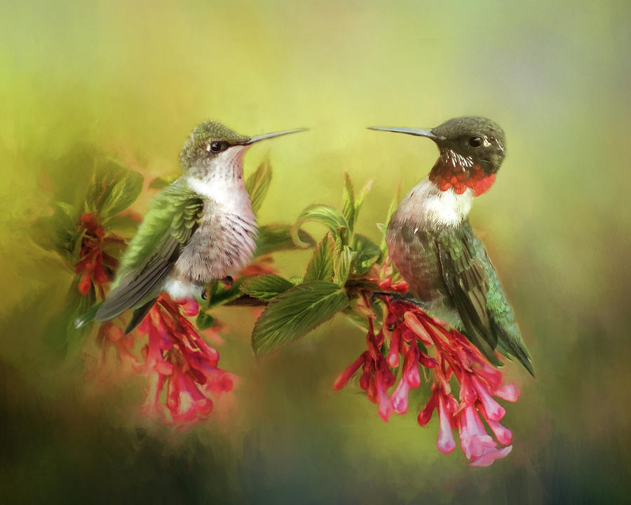 Hummingbirds and Blossoms Photograph by TnBackroadsPhotos