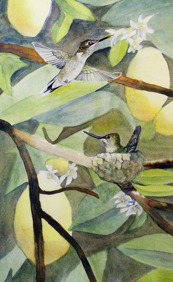 Bird Painting - Hummingbirds and Lemons by Rachel Osteyee