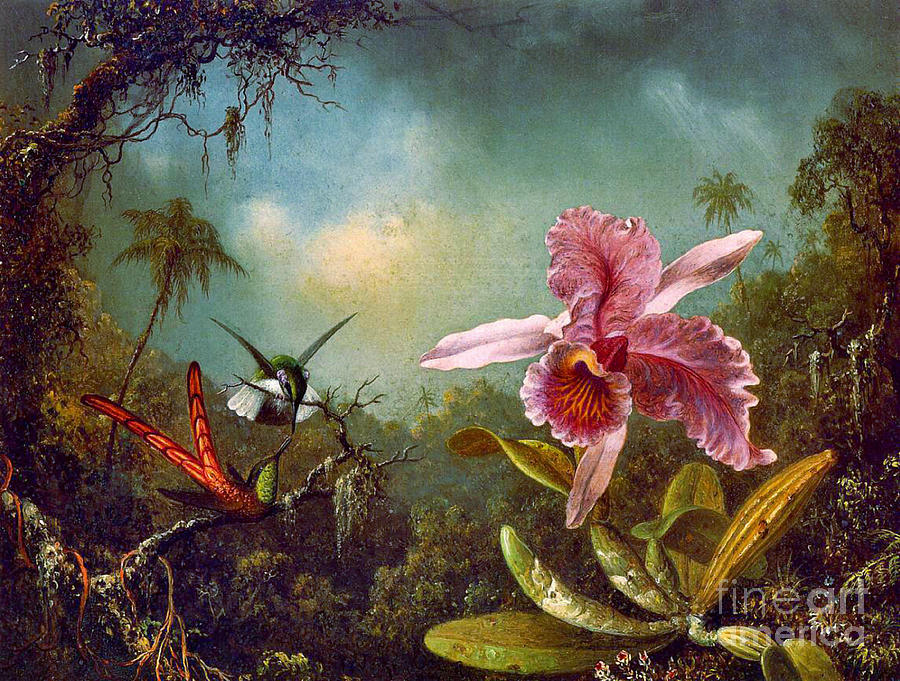 Hummingbirds and Orchid 1871 Photograph by Padre Art