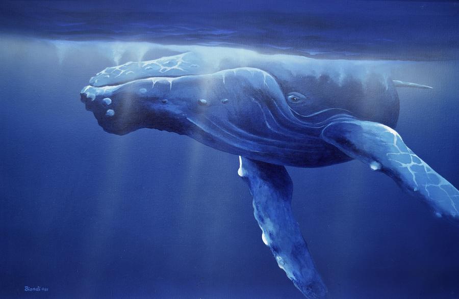 Humpback Portrait Painting By Janet Biondi - Pixels