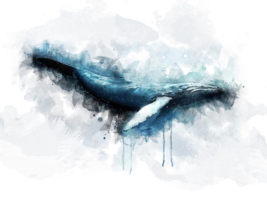 Humpback Whale Digital Art