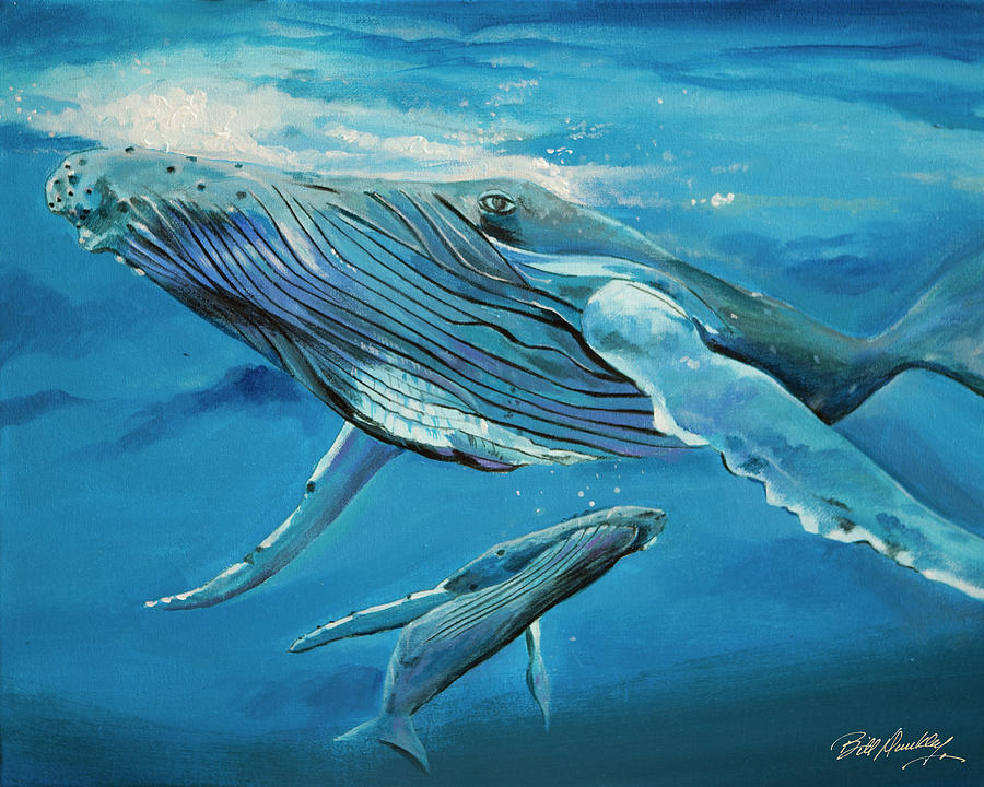 Humpback Whale Painting - Humpback Whale by Bill Dunkley