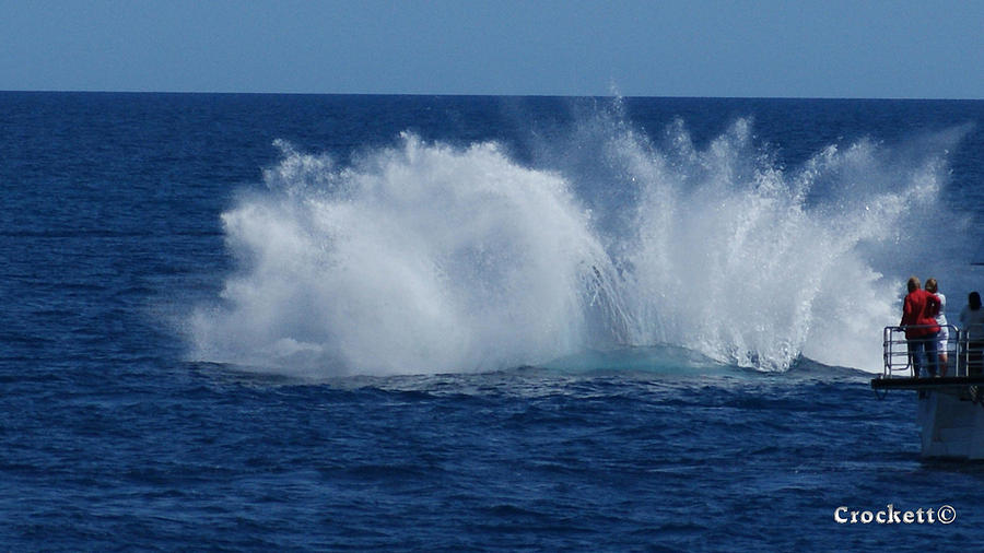 Humpback Whale Breaching Close to Boat 23 image 3 of 4 Photograph by ...