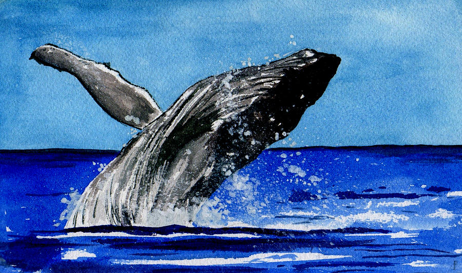 Humpback Whale Painting by Brenda Owen