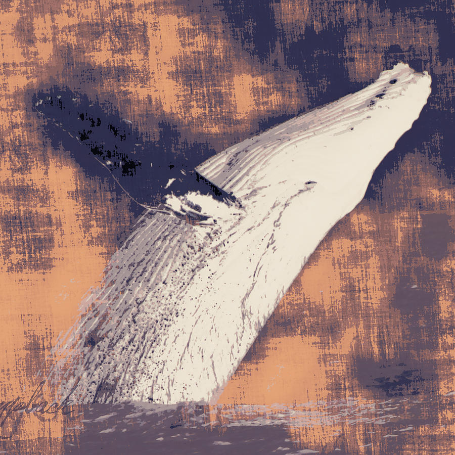 Abstract Digital Art - Humpback Whale Distressed by Brandi Fitzgerald