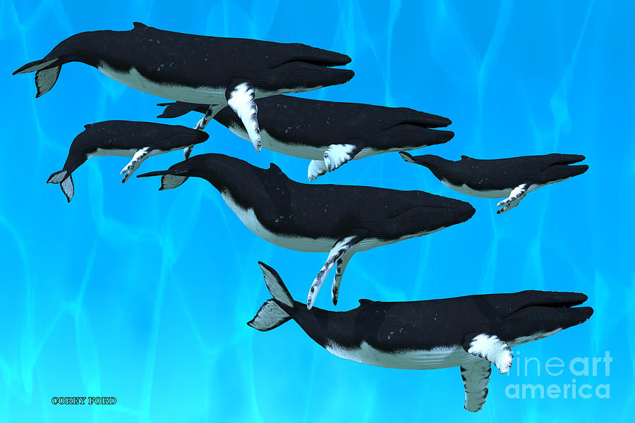 Humpback Whale Family Painting by Corey Ford