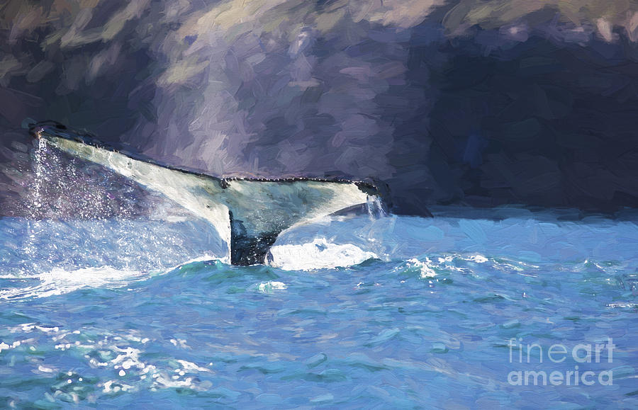 Humpback Whale Photograph - Humpback whale fluke by Sheila Smart Fine Art Photography