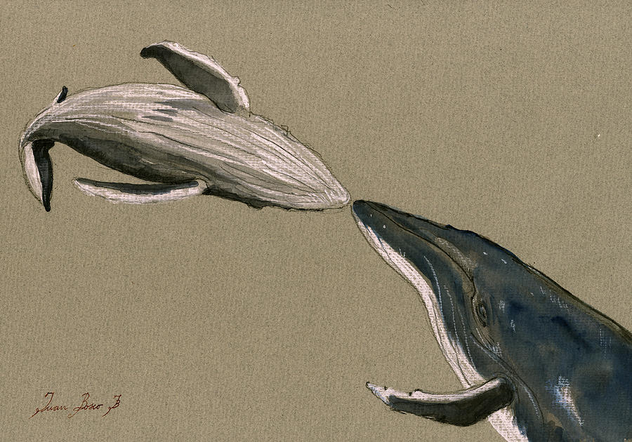Marine Jellyfish Painting - Humpback whale painting by Juan  Bosco