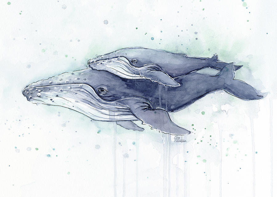 Whale Painting - Humpback Whales Painting Watercolor - Grayish Version by Olga Shvartsur