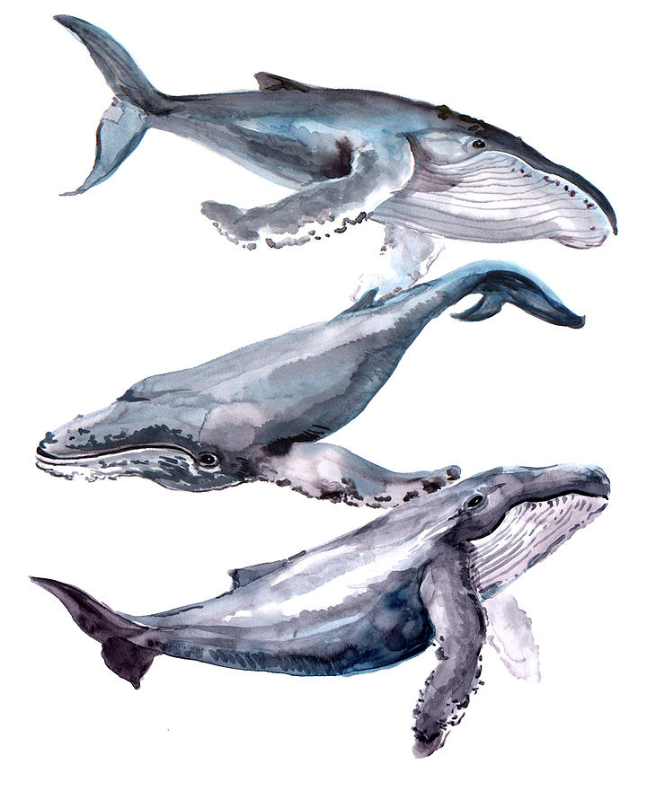 Humpback Whales Painting by Suren Nersisyan