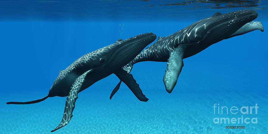 Humpback Whales Surfacing Painting by Corey Ford