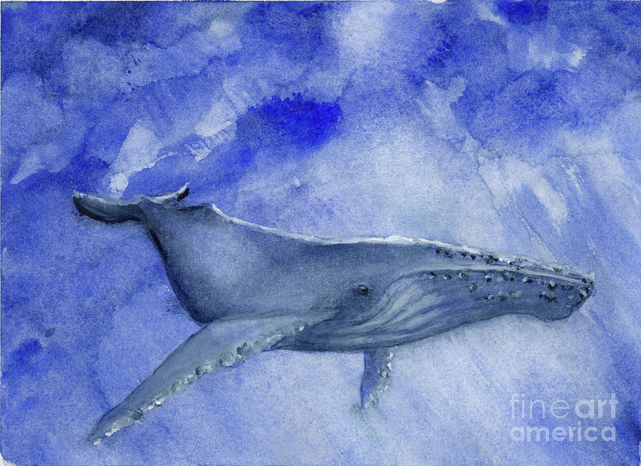 Humpback Yearling Under Our Boat Painting by Randy Sprout