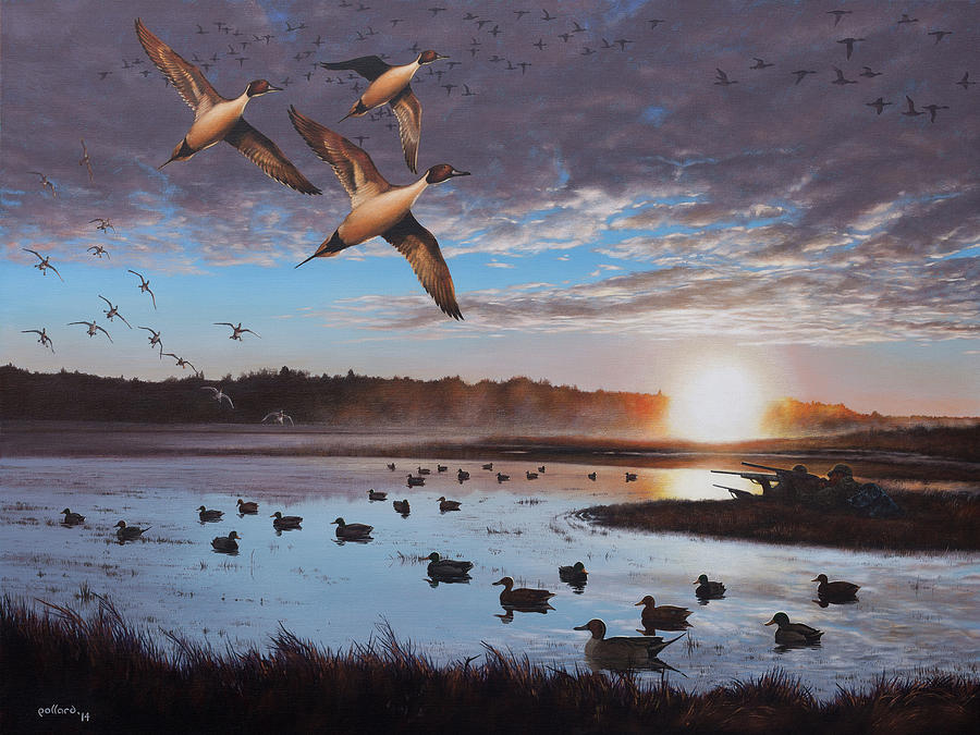 Duck Painting - Humphrey Farm Pintails by Glenn Pollard
