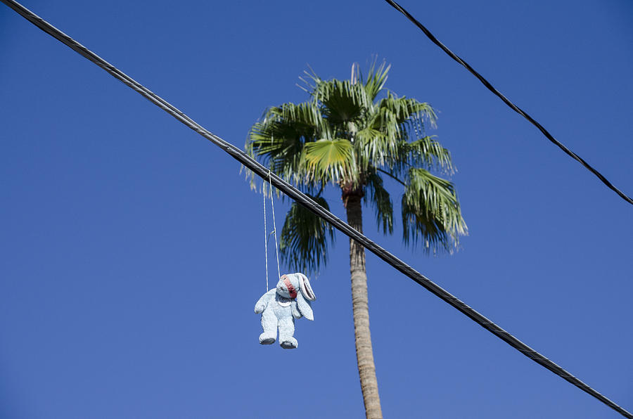Hung Bunny in Palm Springs Photograph by Erik Burg