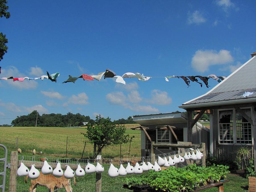 Hung Out To Dry Photograph by Renee Holder