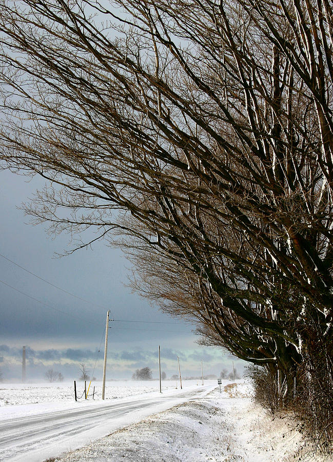 Winter Photograph - Hung Over by David  Hubbs