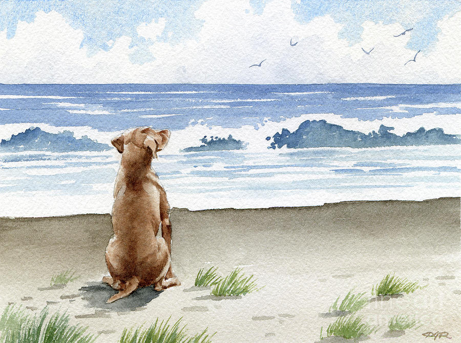 Beach Painting - Hungarian Vizsla at the Beach by David Rogers