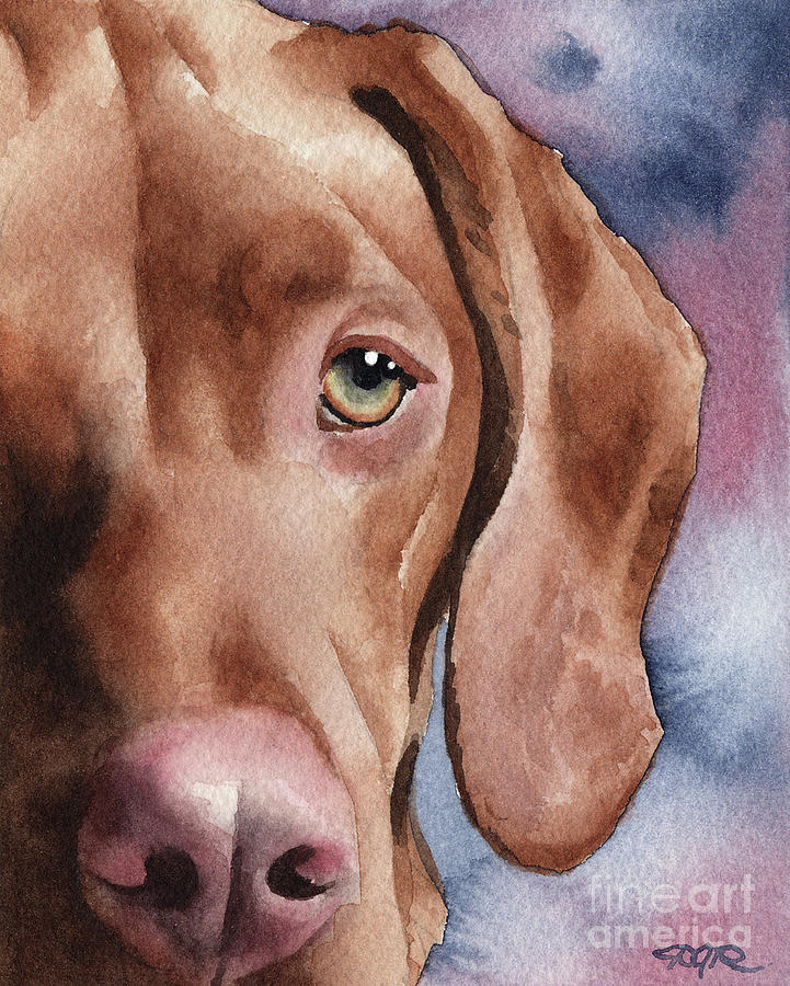Portrait Painting - Hungarian Vizsla by David Rogers Portrait Painting - Hungarian Vizsla by David Rogers