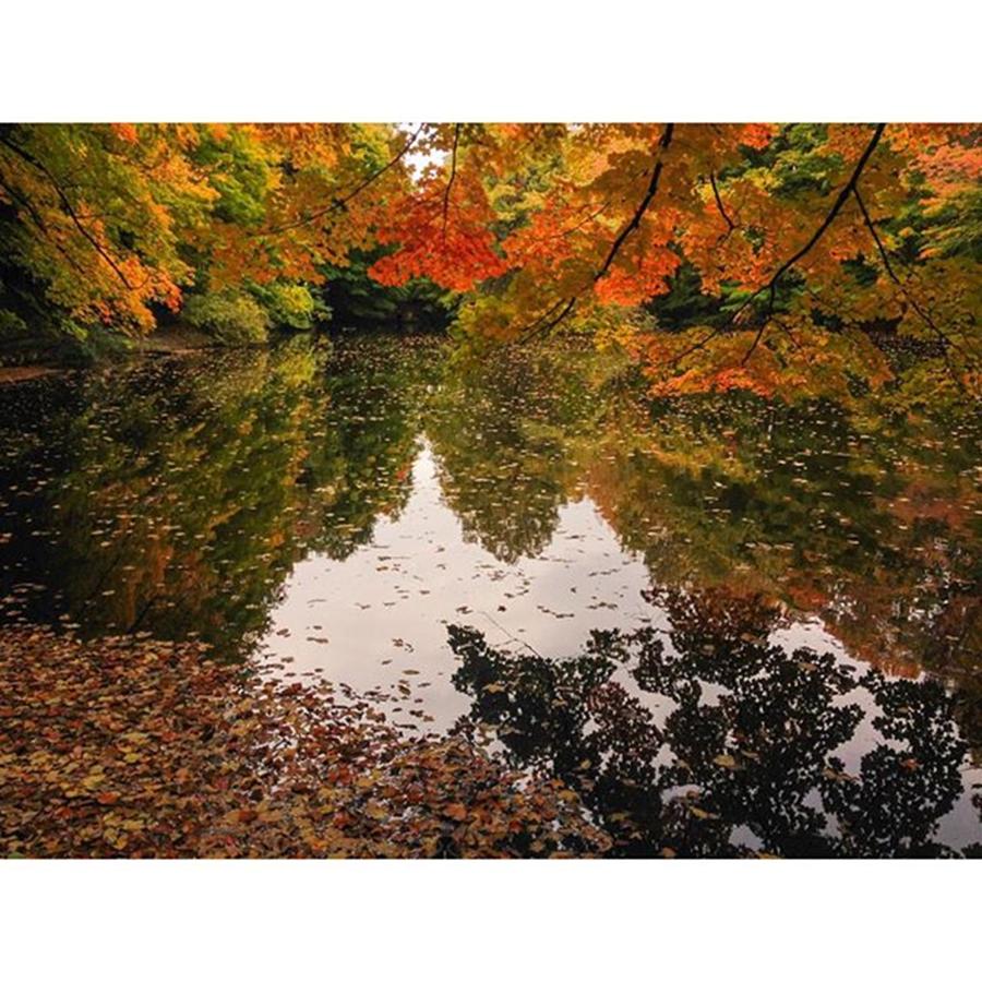 Fall Photograph - Hungerford Park.
#autumn #reflections by Craig Szymanski
