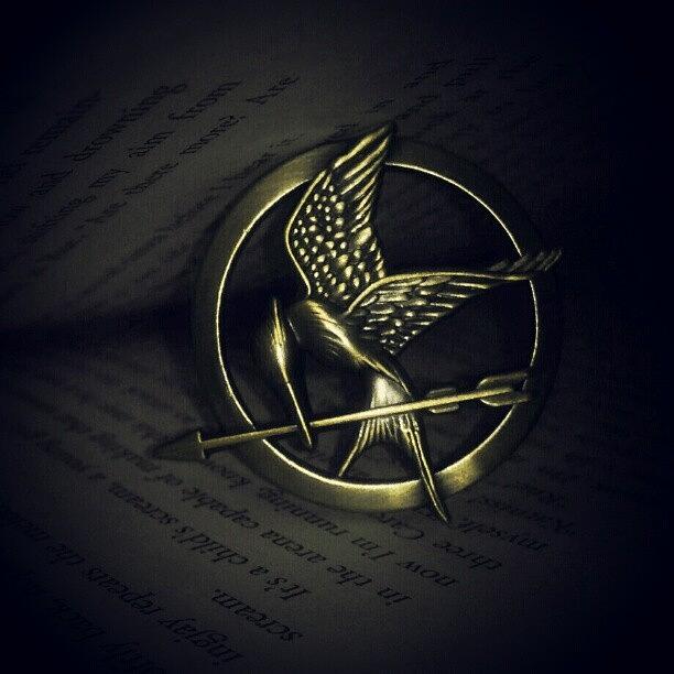 Cool Photograph - #hungergames #catchingfire by Bex C