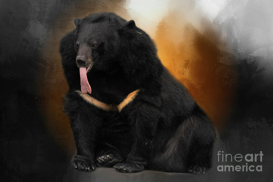 Hungry Bear Digital Art by Geraldine DeBoer
