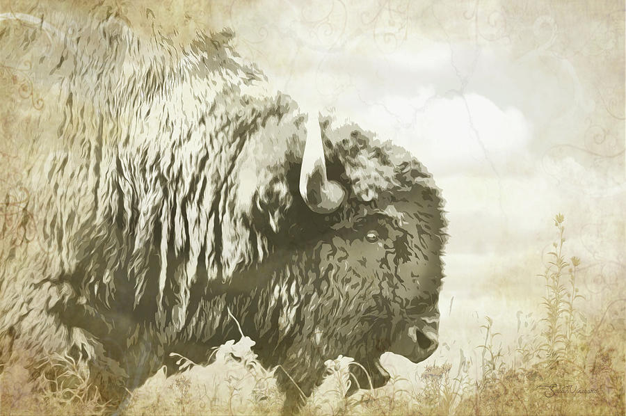 Hungry Buffalo in the Tall Grass Digital Art by Susan Vineyard