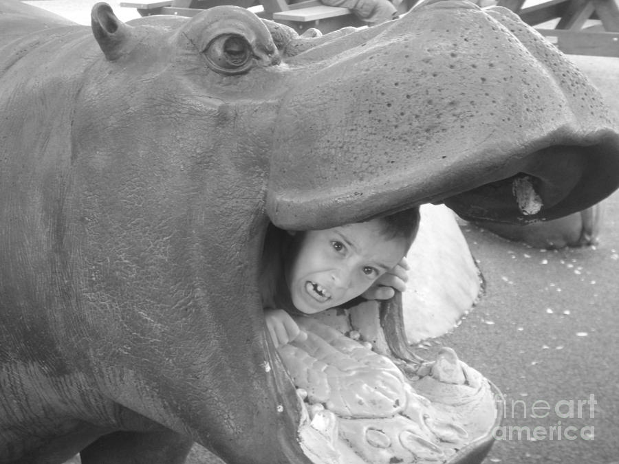 Hungry Hungry Hippo Photograph by WaLdEmAr BoRrErO