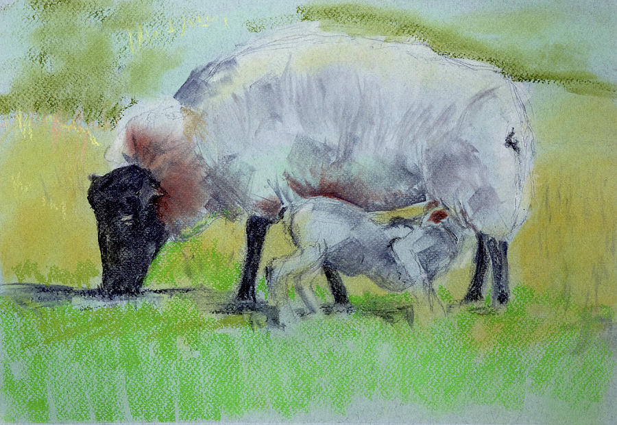 Hungry Lamb Painting by Kathleen Barnes