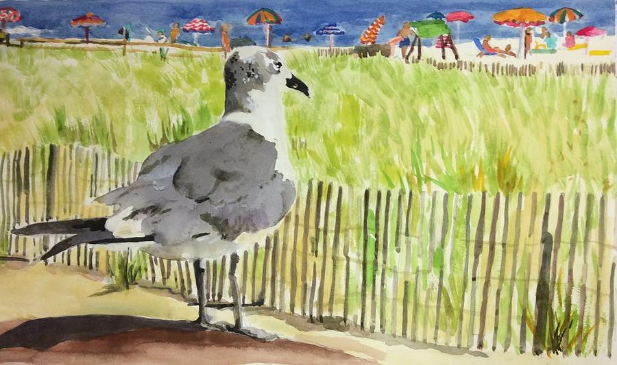 Hungry Seagull by Judith Scull Hungry Seagull by Judith Scull