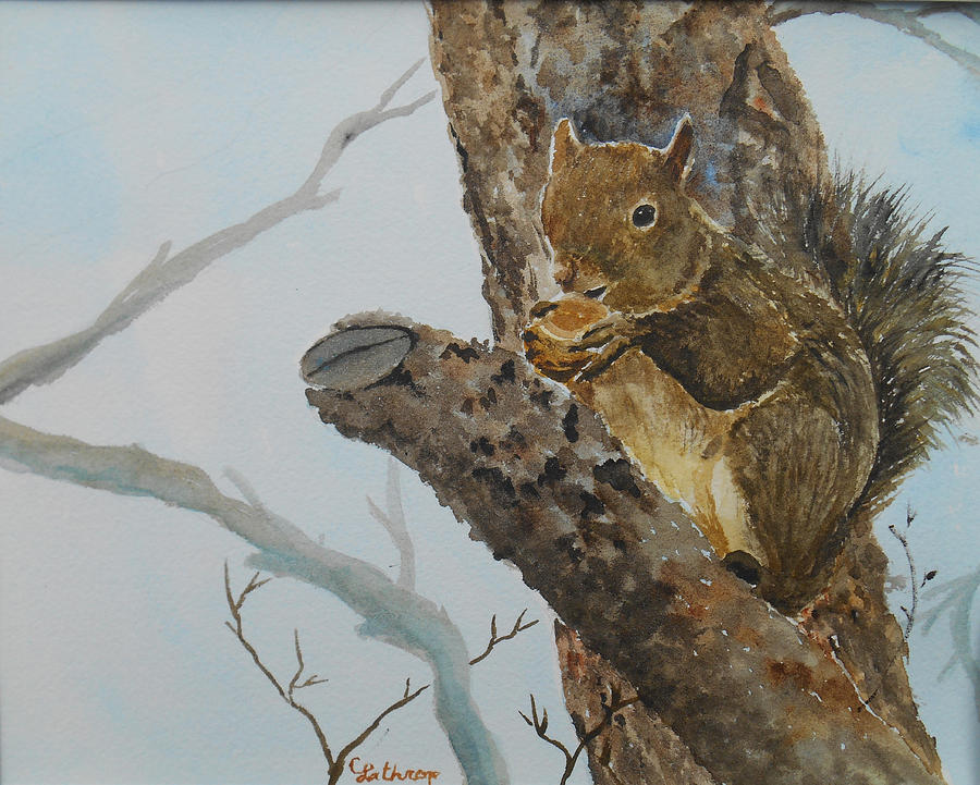 Hungry Squirrel Painting by Christine Lathrop