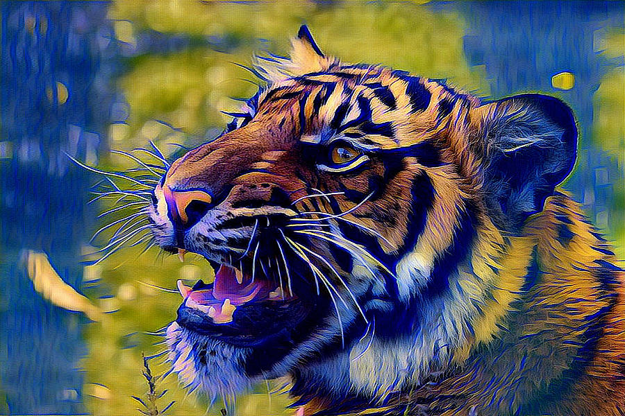 Portrait of a  Tiger Photograph by Femina Photo Art By Maggie