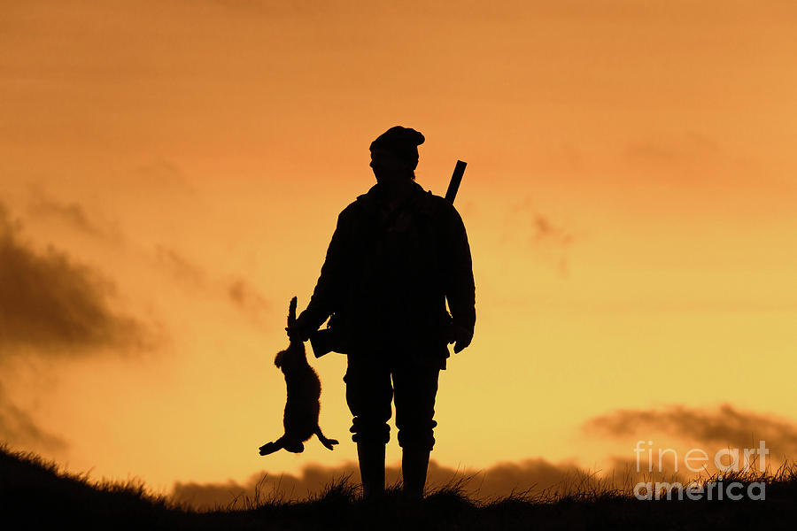 Hunter at Sunset Photograph by Arterra Picture Library | Fine Art America