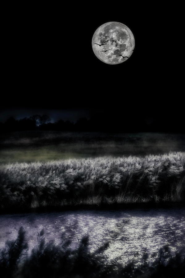 Artistic Photograph - Hunters Moon by Garett Gabriel Artistic Photograph - Hunters Moon by Garett Gabriel