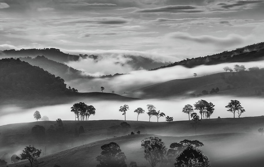 Hunter Valley Shadow Play - bw Photograph by Stuart Mackenzie