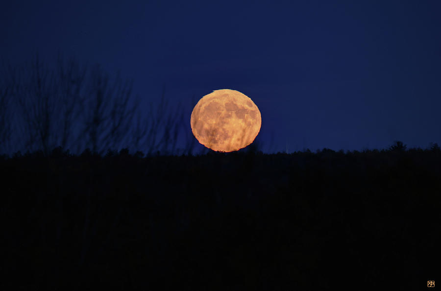 Hunters Moon Photograph by John Meader