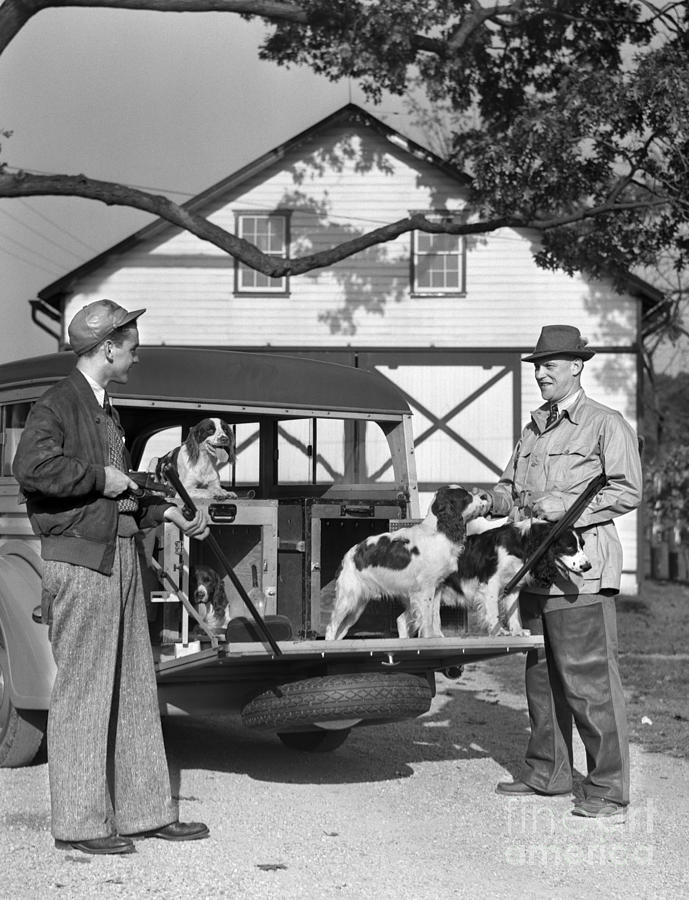 Hunters With Dogs In Back Of Truck, 1940 Photograph by H. Armstrong Roberts/ClassicStock