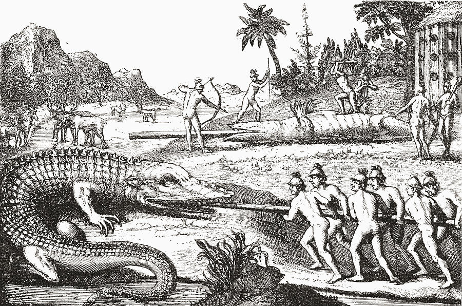 Alligator Drawing - Hunting Alligators In The Southern by Vintage Design Pics