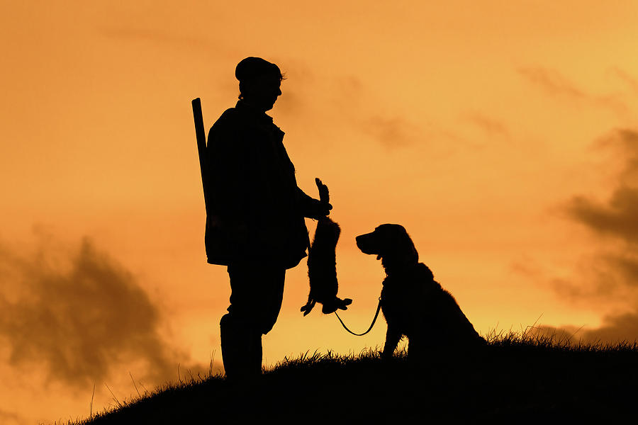 Hunting at Sunset Photograph by Arterra Picture Library