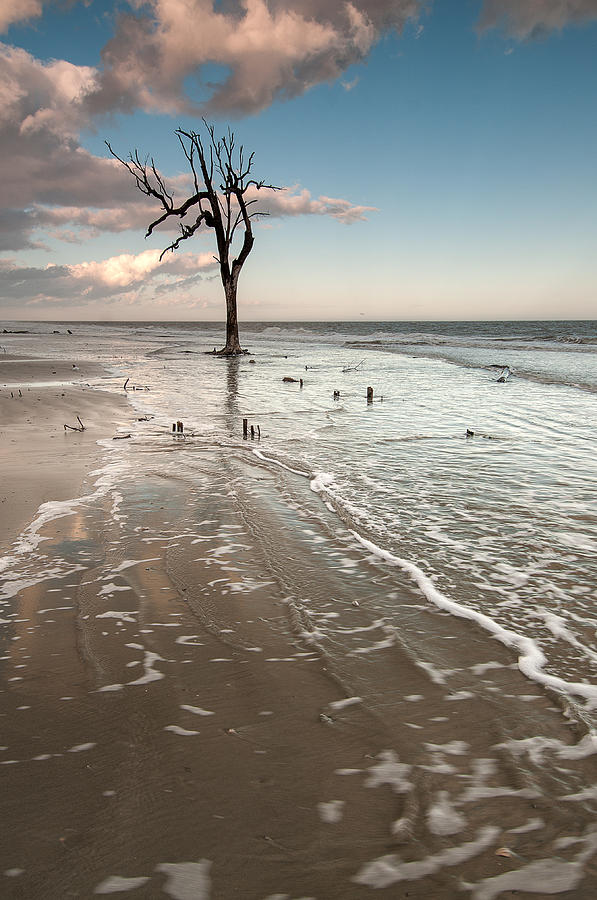 Hunting Island Photograph by Derek Thornton - Fine Art America