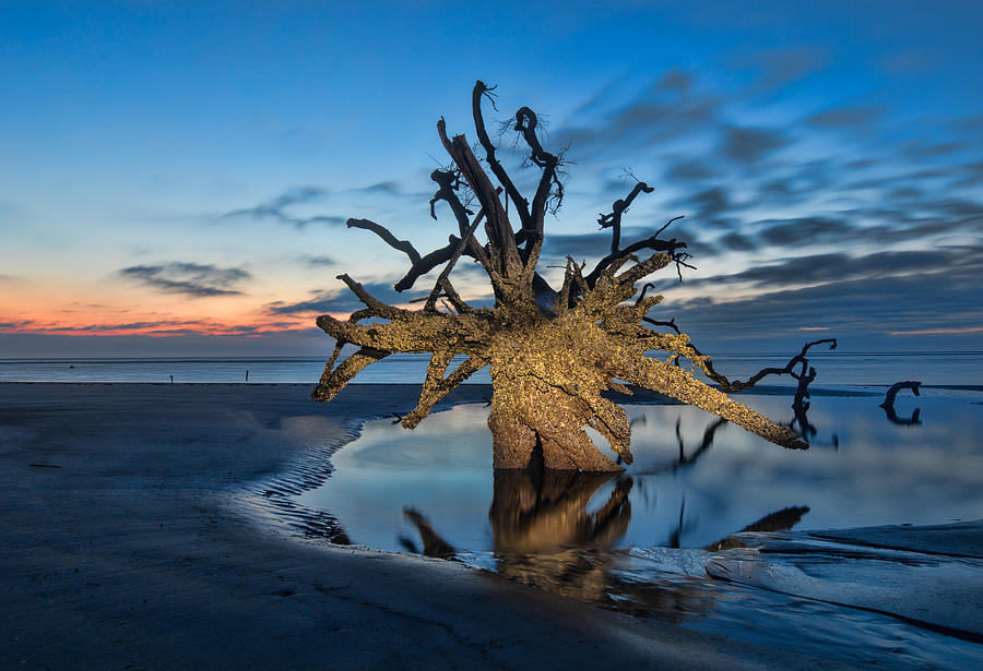 Hunting Island Photograph by Stephen McCloskey - Pixels