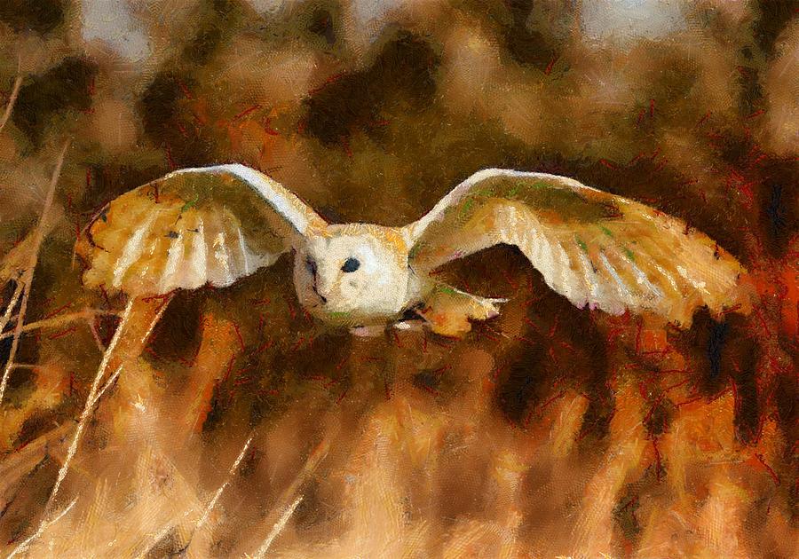 Hunting Owl Digital Art by Charmaine Zoe